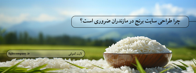 چرا طراحی سایت برنج در مازندران ضروری است؟